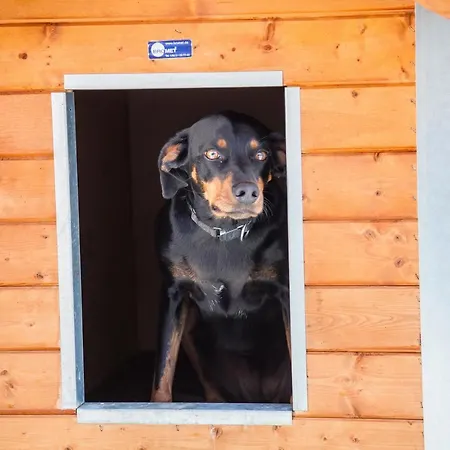 Ferienwohnung Bei Cooldog 公寓 伊姆斯特