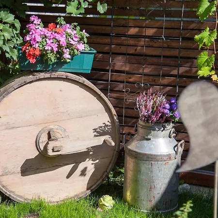 Ferienwohnung Bei Cooldog Apartamento *