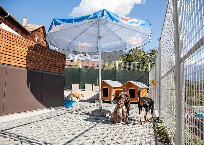 Ferienwohnung Bei Cooldog *