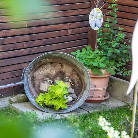 Ferienwohnung Bei Cooldog *