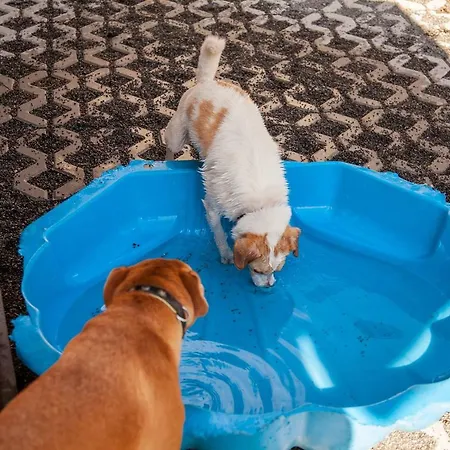 Ferienwohnung Bei Cooldog * Imst