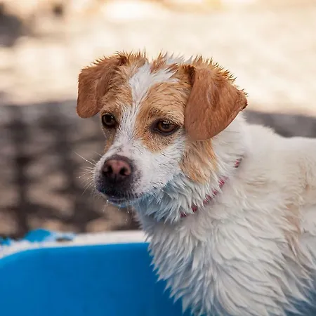 Lejlighed Ferienwohnung Bei Cooldog