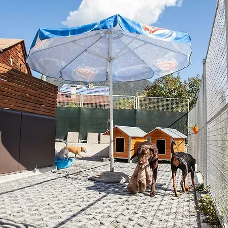 Ferienwohnung Bei Cooldog *