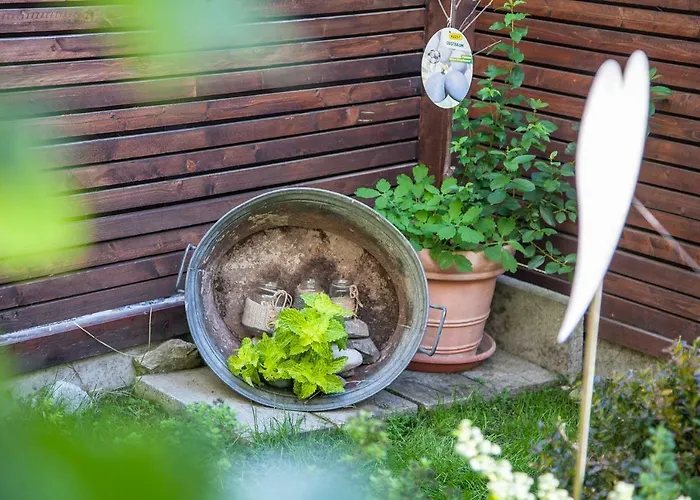 Ferienwohnung Bei Cooldog *