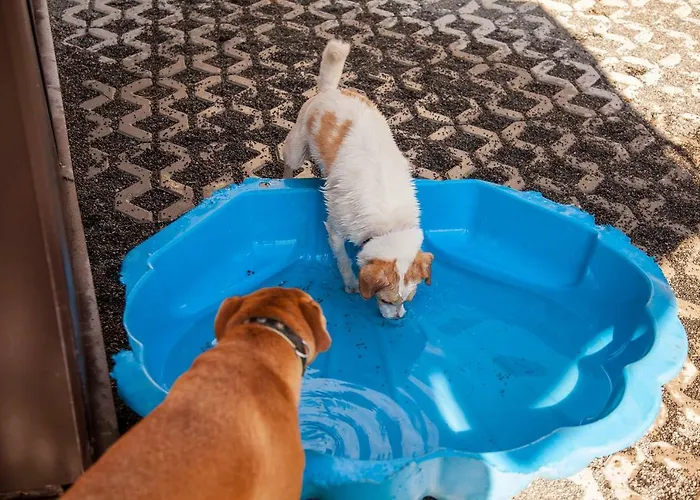 Ferienwohnung Bei Cooldog * Imst