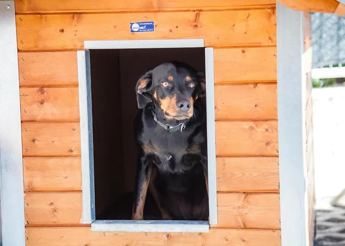 Ferienwohnung Bei Cooldog Apartment Imst